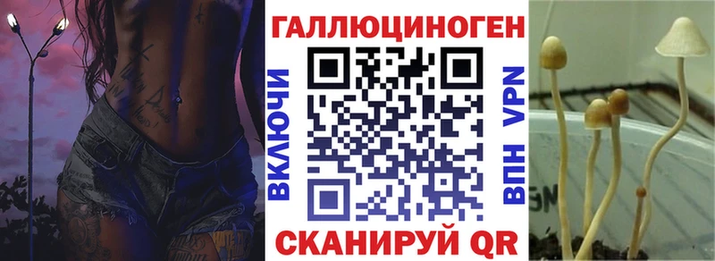 Псилоцибиновые грибы GOLDEN TEACHER  Сим 